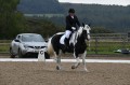 Dressage Competition
