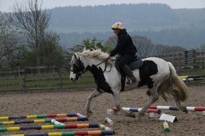Ashley Suddes Pole Work and Cavaletti
