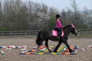 Ashley Suddes Pole Work and Cavaletti