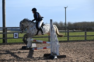 Show Jumping Clinic with Shauna Davis 