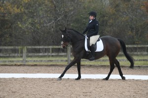 Dressage Competition